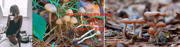 бутик Дмитриев