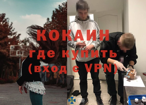 стафф Дмитров
