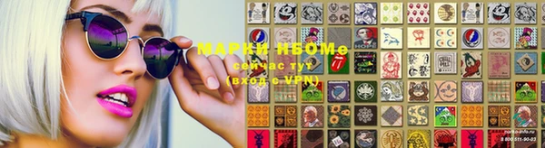 стафф Дмитров