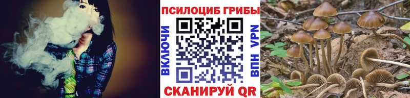 Купить где  Изобильный  Псилоцибиновые грибы ЛСД 